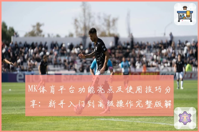 MK体育平台功能亮点及使用技巧分享：新手入门到高级操作完整版解析
